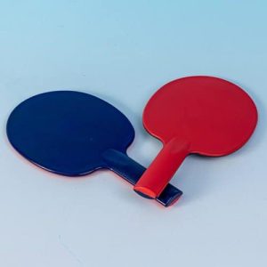 Referee paddle